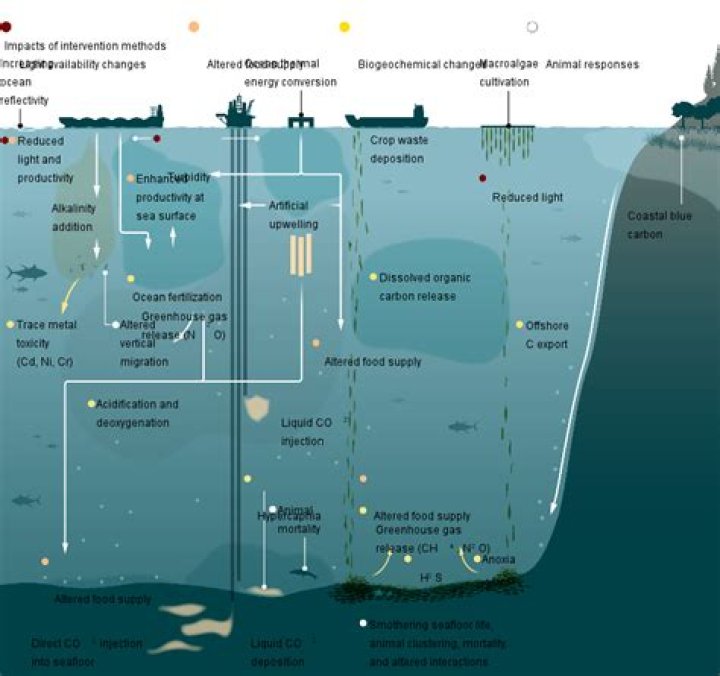 Deep-sea Environment, Gsctwo