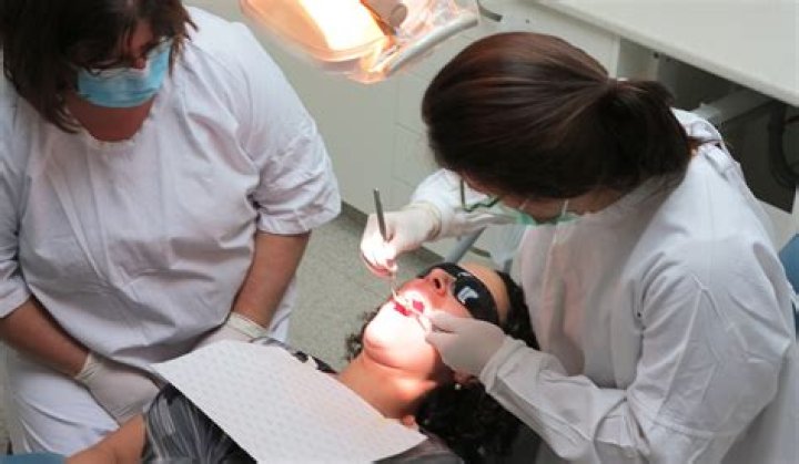 Dental Health, Gscseven