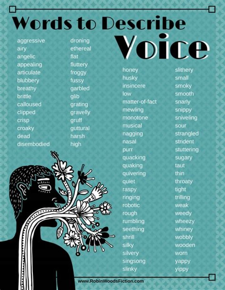 Describing Tone Of Voice VOICEJKA