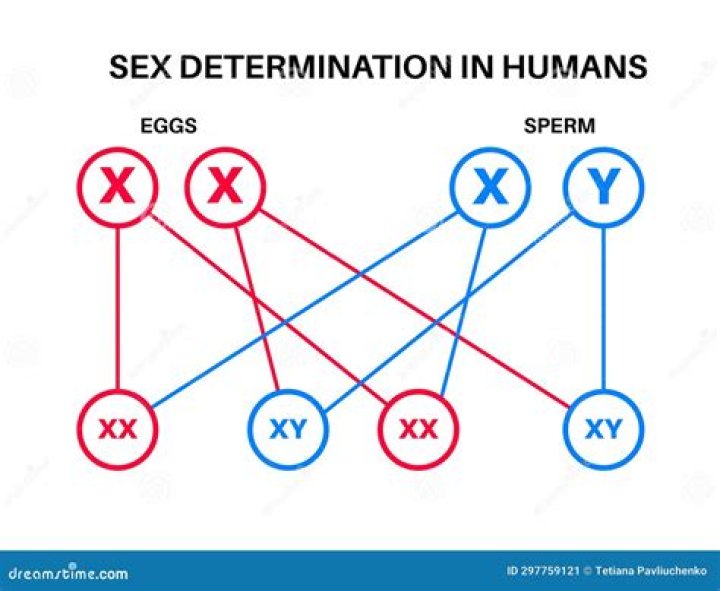 Determination, Gscsix