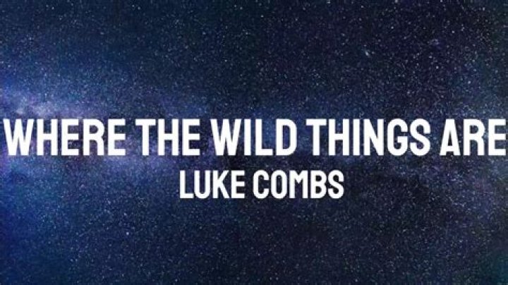 Did Luke Combs' Brother Star In "Where The Wild Things Are"?