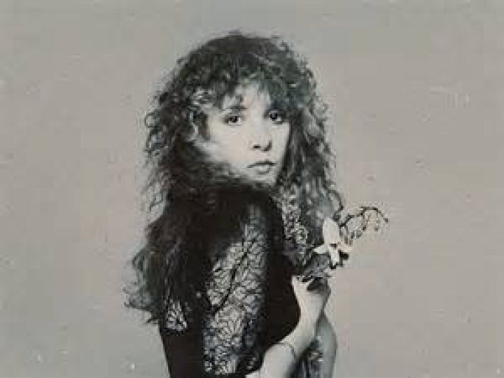Did Stevie Nicks Die? What Happened to Her? Lake County News