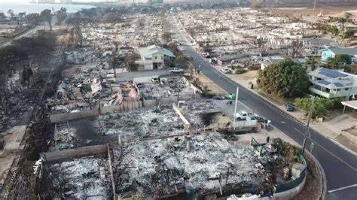 Did The Safeway In Lahaina Burn Down? List Of Stores/Major Places Burned
