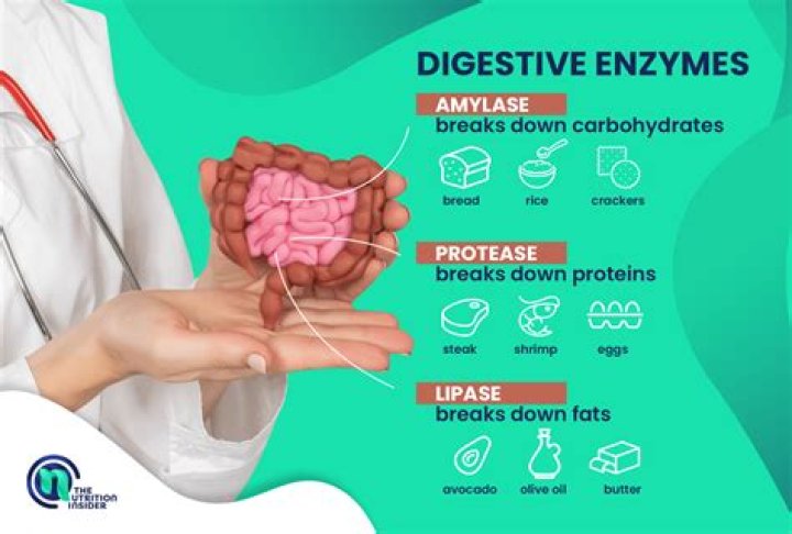 Digestive Health, Gscone