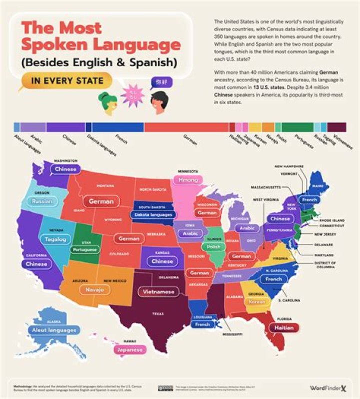 Discover The Languages Spoken By Ansel Elgort