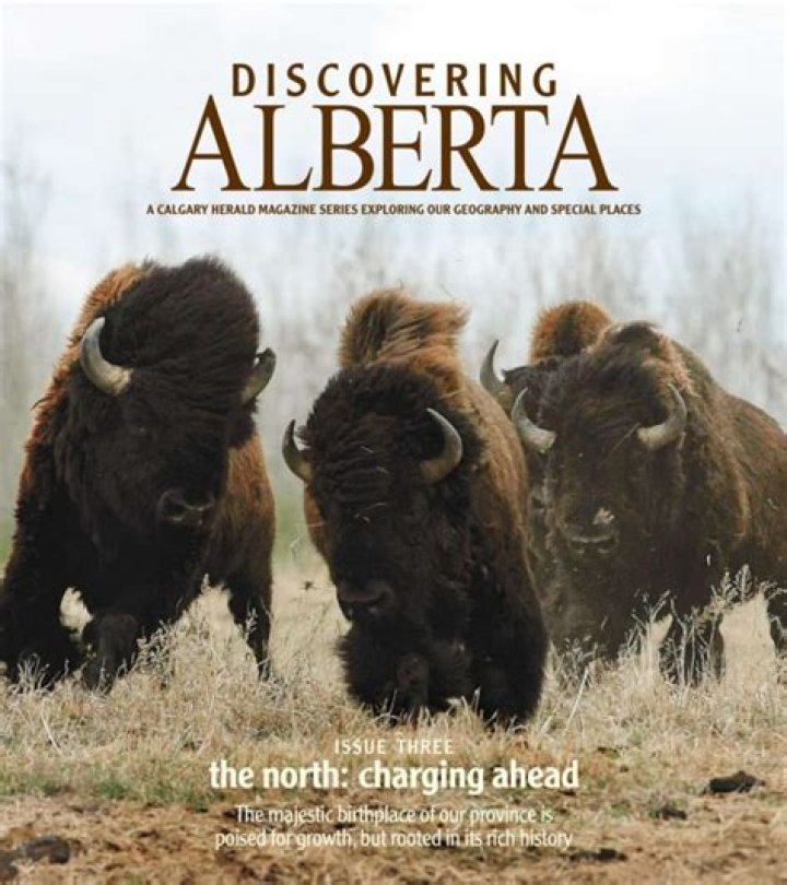 Discovering Alberta Dornan: A Journey Through Art And Inspiration