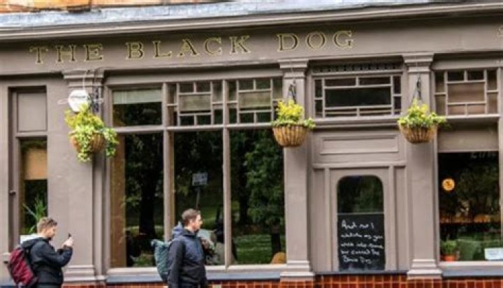 Discovering The Flavors Of The Black Dog Pub Menu