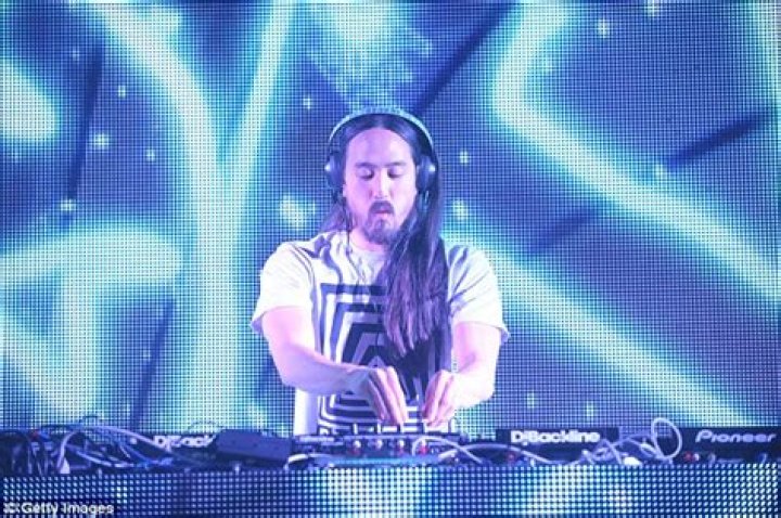 DJ Steve Aoki marries longtime model girlfriend Tiernan Cowling in