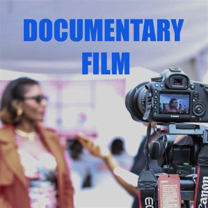 Documentary Film, Globalinsightnet