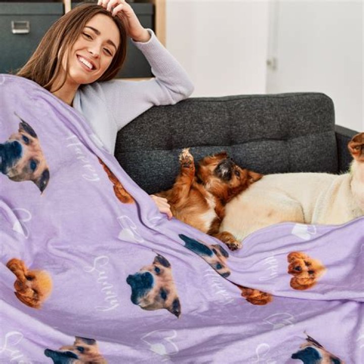 Dog Face Blanket for Dummies