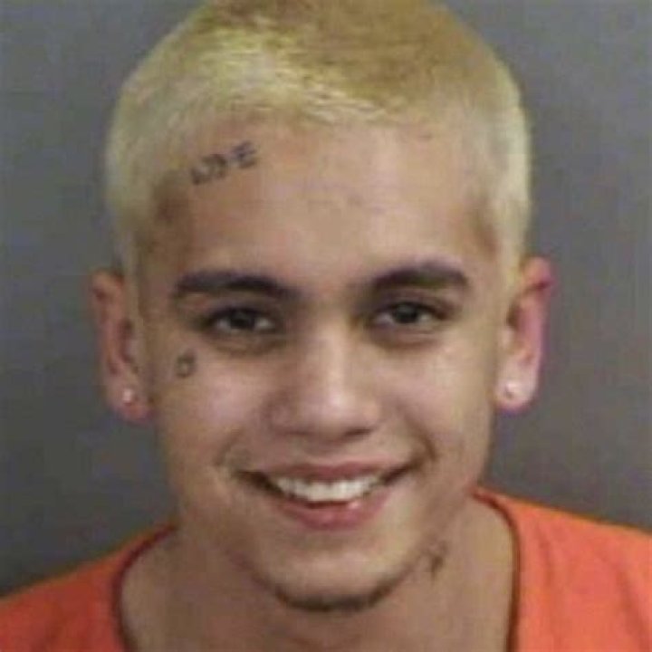 dominic fike Mug shots, Celebrity mugshots, Celebrity drawings