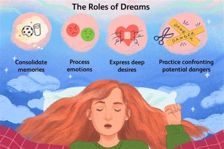 Dreams, Webshubz