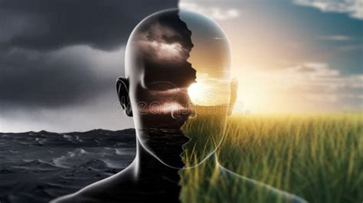 Duality Of Human Nature, Gscthree
