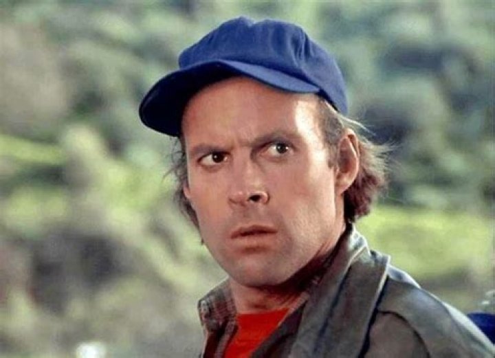 Dwight Schultz's wife, Wendy Fulton appeared in a guest role in The A