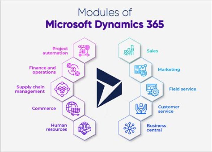 Dynamics options