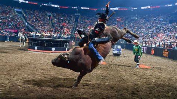 Earnings From Bull Riding, Gscone
