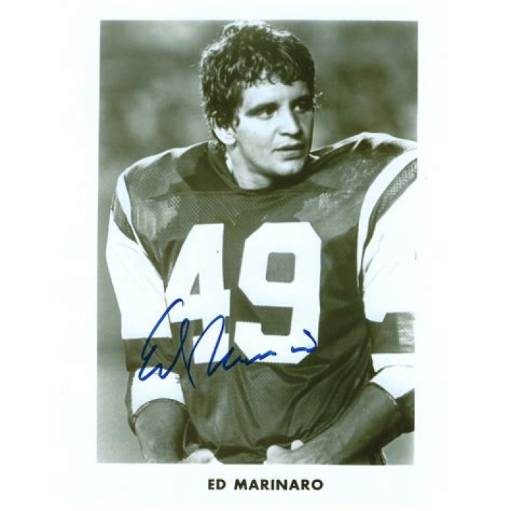 Ed Marinaro Net Worth, Bio, Salary, Wiki, Age, Gossip
