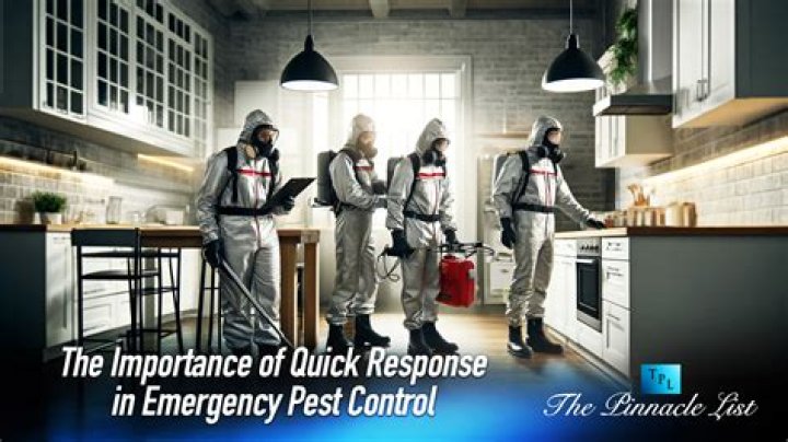 Emergency Pest Control: Rapid Response for McKinney Residents