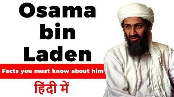 engineer Discipline Extensively osama bin laden 1979 Socialist Easter