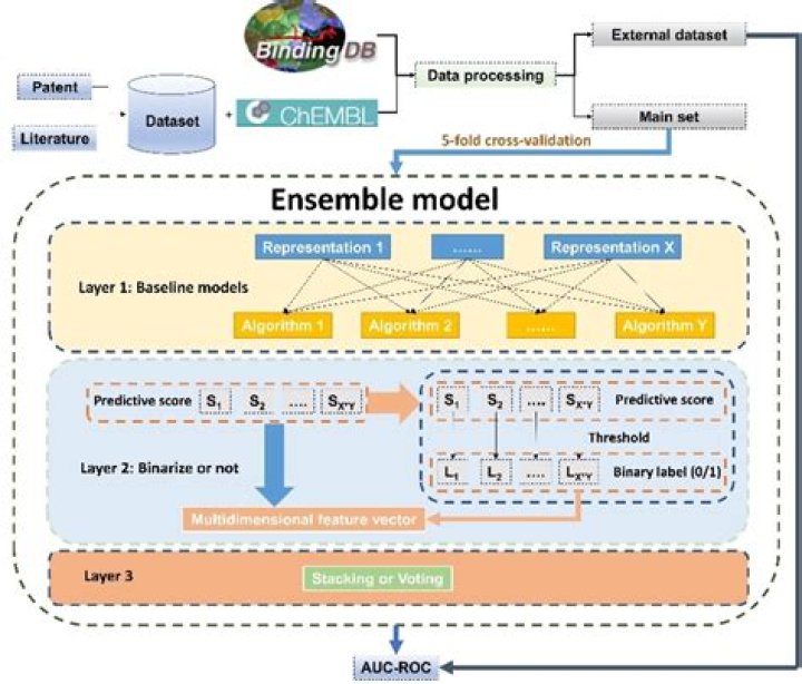 Ensemble Chemistry, Webshubz