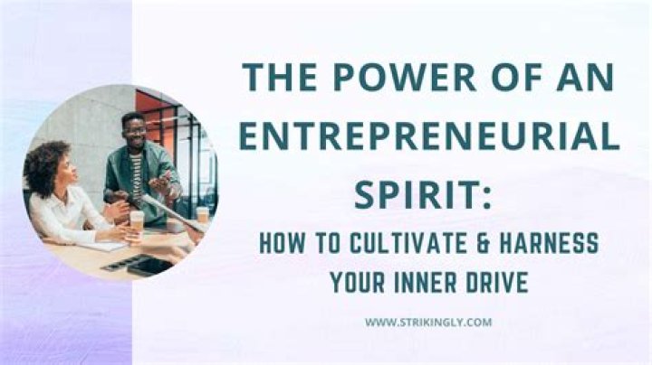 Entrepreneurial Spirit, Gscnine
