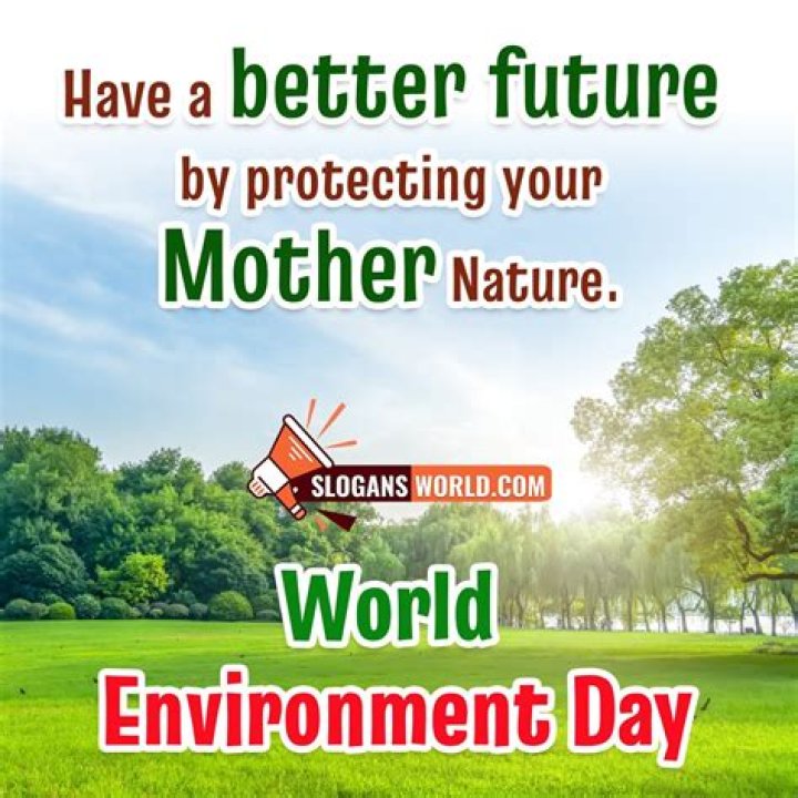 Environment, Fashytrend