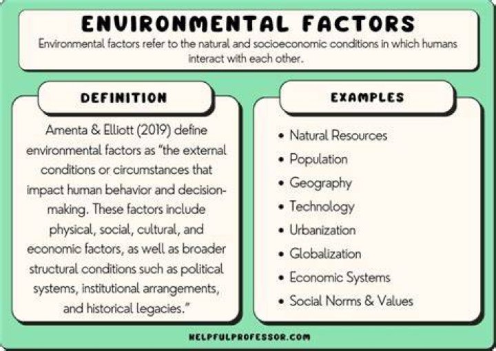 Environmental Factors, Fashytrend
