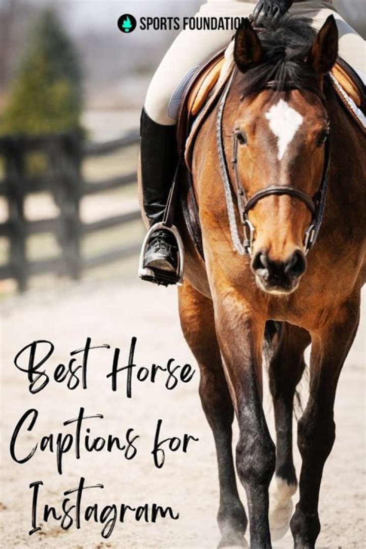 Equestrian horsebackriding horseback riding captions Лошади, Спорт