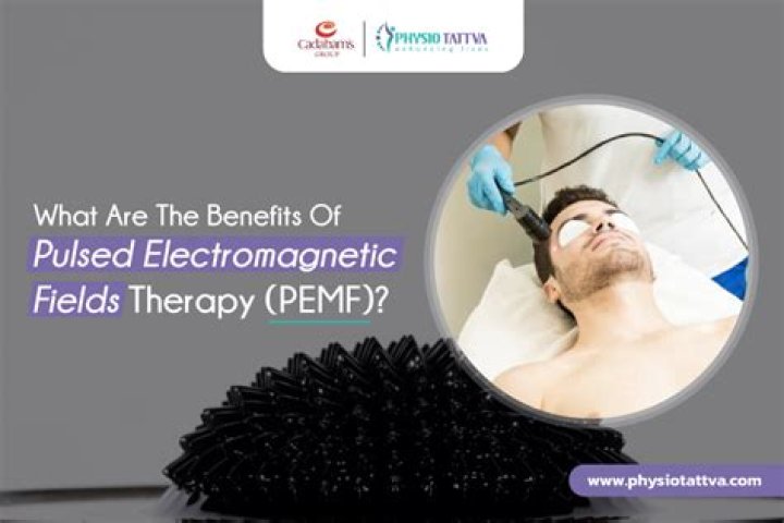 eropulse portable pemf pulsed electromagnetic field therapy device with mat