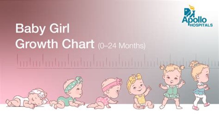 Estimated Height, Gscone