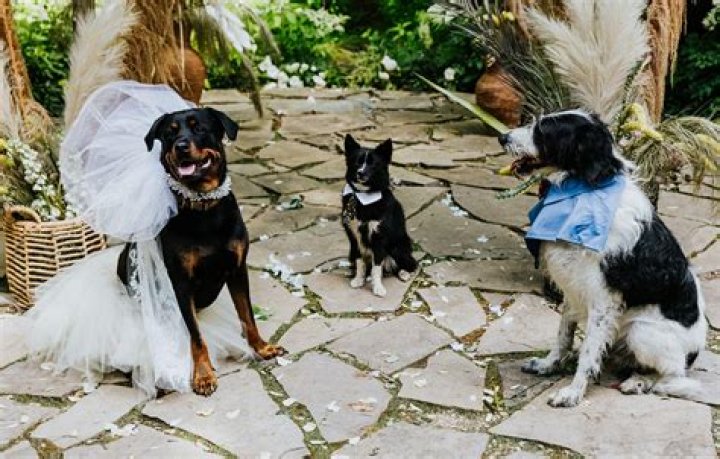 Exclusive: When Patrick Christy Is Planning To Tie The Knot