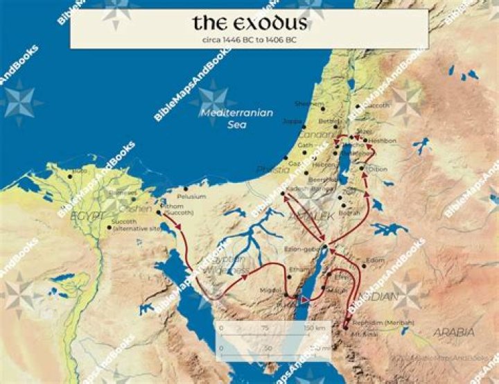 Exodus Tyson: Unveiling The Path To Liberation And Empowerment