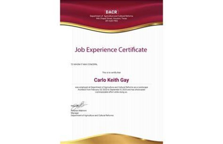 Experience, Roma4ribu