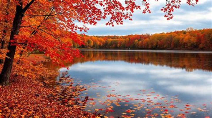 Exploring The Autumn-Joi Net Worth