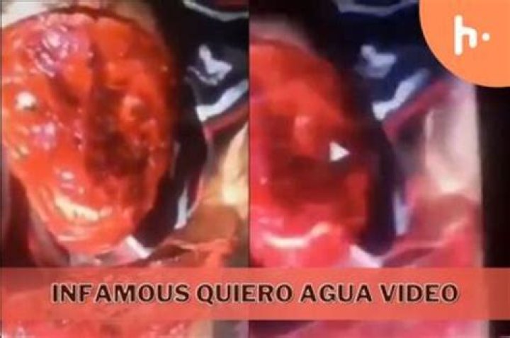 Exploring The Dark Side Of "Quiero Agua Video Gore"
