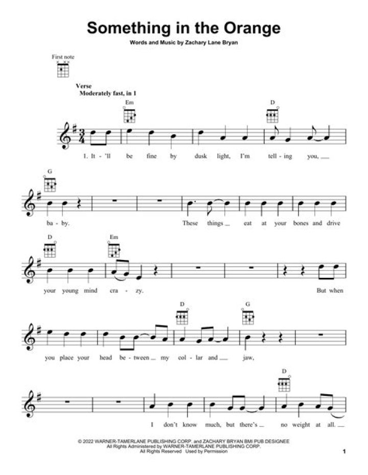 Exploring The Depths Of "Something In The Orange" Lyrics
