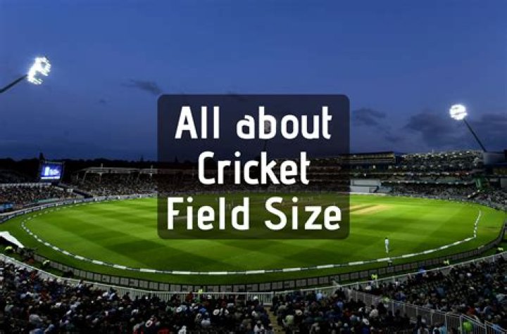 Exploring The Finances Of The Cricket Legend