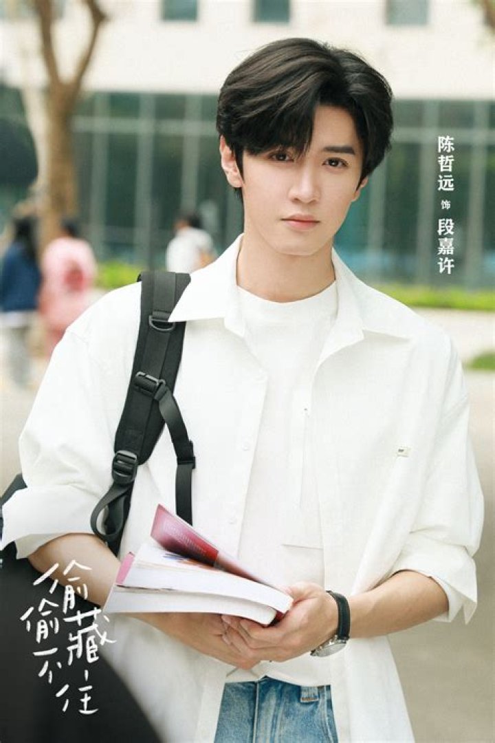 Exploring The Life And Career Of Chen Zhe Yuan