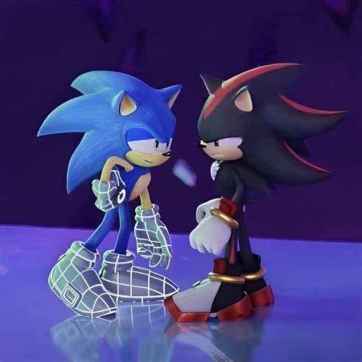 Exploring The Relationship Between Sonic And Shadow The Hedgehog: Are They Gay?