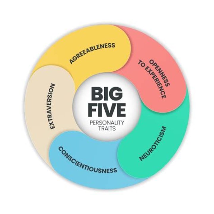 Exploring The Wealth Of A Successful Personality