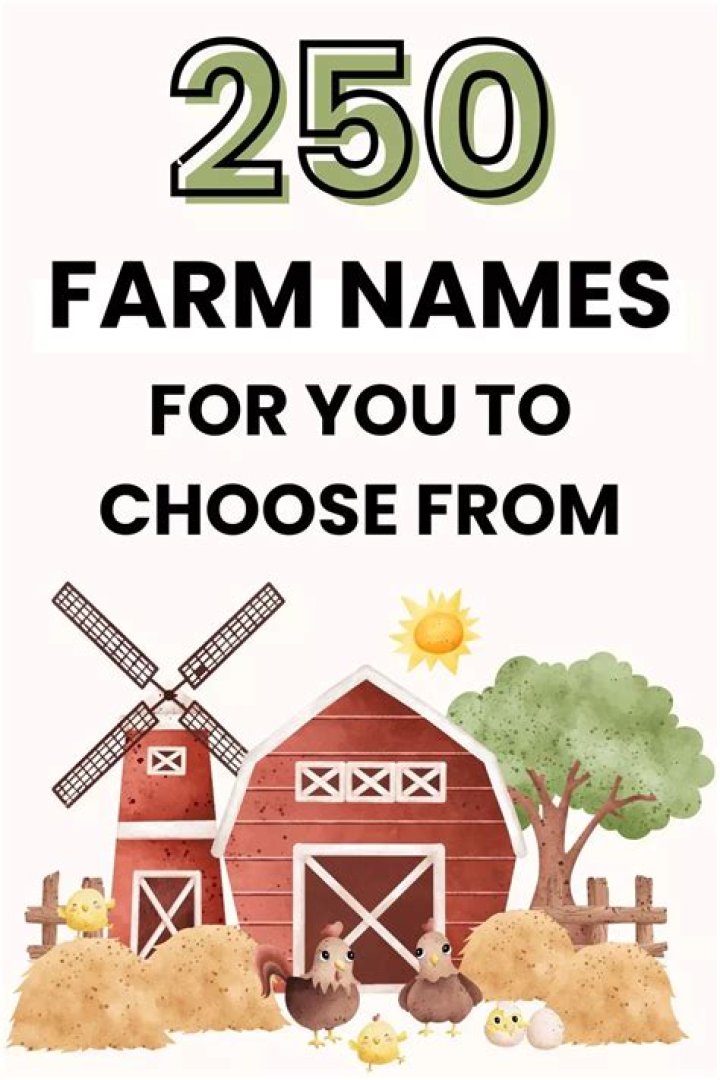 Farm Names How to Choose the Best One + 51 Examples