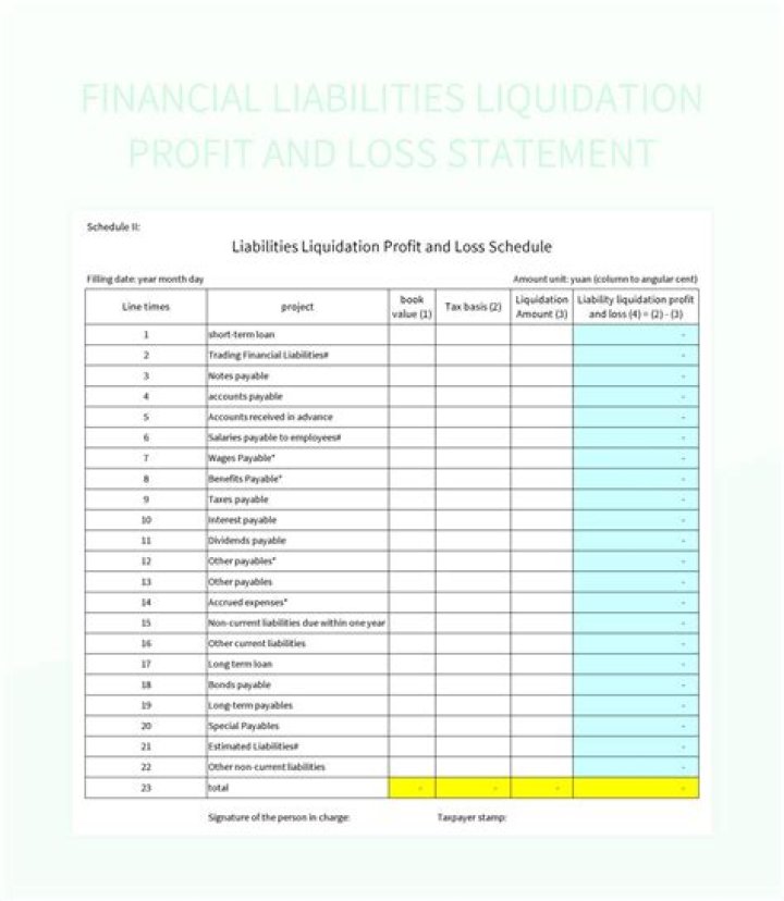 Financial Loss, Webshubz