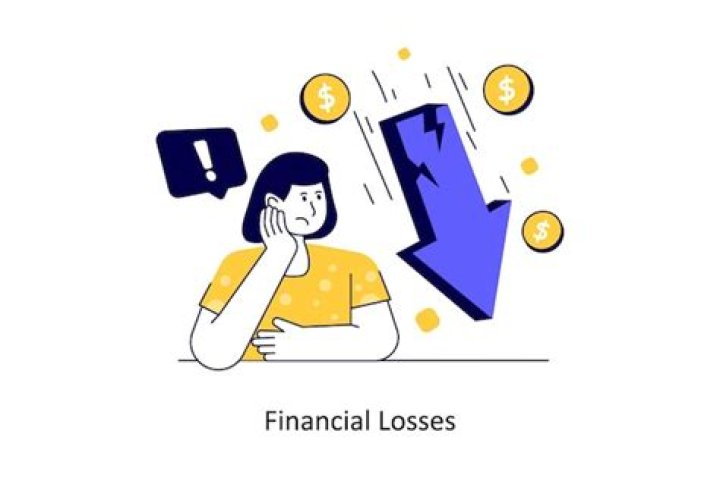 Financial Losses, Webshubz