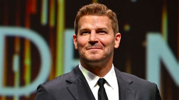 Find Out The Age Of David Boreanaz's Son: The Latest Scoop