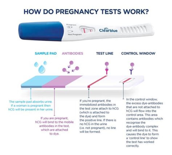 Find Pregnancy Tests Near You: A Guide To Gas Stations
