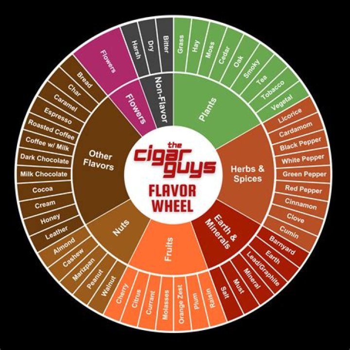 Flavor, Gscsix