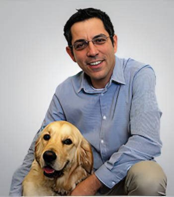 Focal Seizures In Dogs: A Comprehensive Guide With Video Analysis