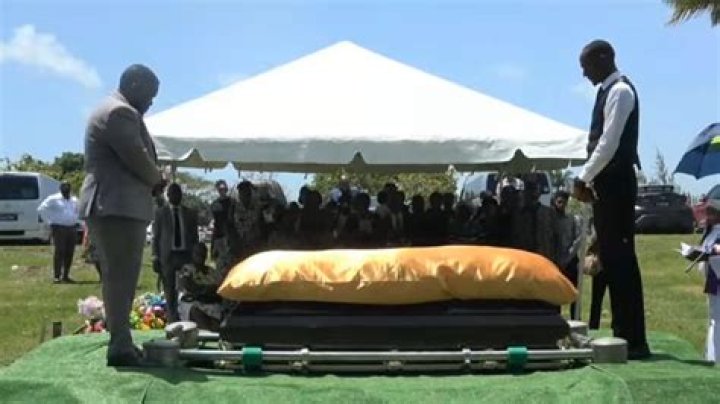 Friends Celebrate the Life of the 'Mindy Project' Star Who Died by