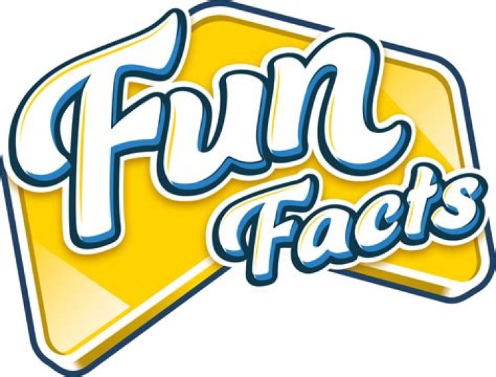 Fun Fact, Gscteen