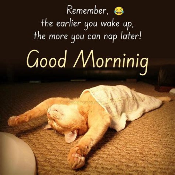 Funny images and Good Morning Funny Images 2021 Good Morning Images